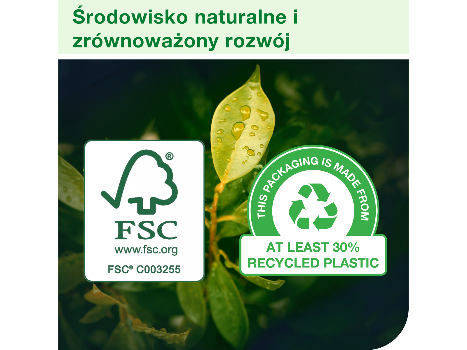 Ściereczki do szorowania Tork 450150 2w1 Opak. 45 listków